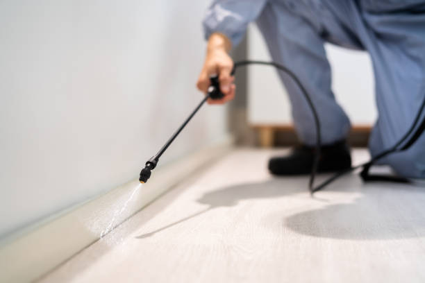 Licensed Termite Control service in Mascotte, FL - Nex Pest Control
