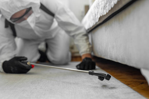 Professional Termite Control technician working in Mascotte, FL