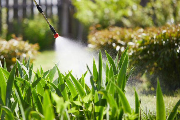 24/7 Emergency Termite Control experts in Mascotte, FL