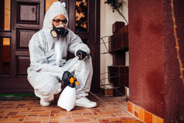Reliable Termite Control contractor in Mascotte, FL by Nex Pest Control